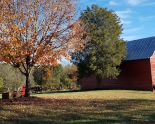 vineyard__-Lawndale-NC-28090-1024x571